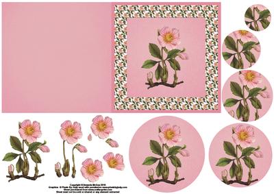 Dog Rose Quick Card with Decoupage and Pyramage