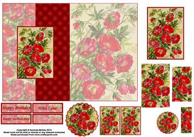 Pretty Poppy Foldback