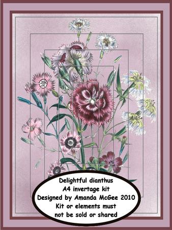 Delightful Dianthus A4 Invertage Kit