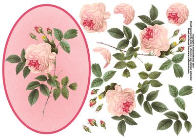 Pink Tea Rose Decoupage