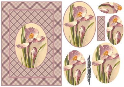 Pretty Iris and Plaid Card Front and Pyramid