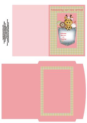 New Baby Girl Announcement