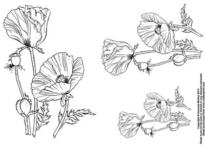 Poppy Digital Stamps