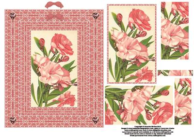 Pink Flowers Double Lace Frame and Pyramid