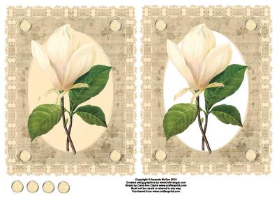 Magnolias and Lace Card Front and Decoupage - Sheet 1 of 2