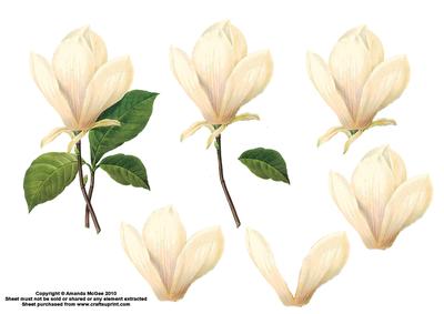 Magnolias Decoupage - Sheet 2 of 2