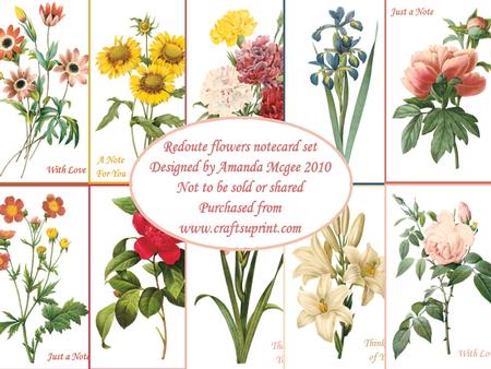Redoute Flowers Notecard Set