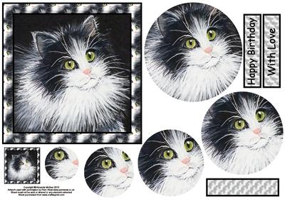 Sammy the Cat Card Front and Pyramid
