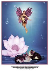 Cats Watching Fairy at Play A4 Card Front