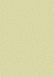 Embossed Leaves in Green Backing Paper