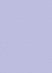 Snowflake Embossed Paper in Blue