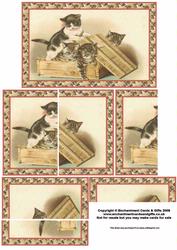 Cats at Play Side Stacker