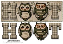 Owls Hoot Large Dl Card Front with Decoupage