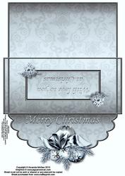 Silver Sparkle Money Wallet 2