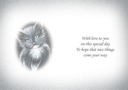Black and White Cat in the Flowers Insert for Cup184534_56