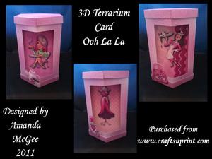Ooh La La 3D Terrarium Card Kit