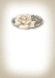 Coffee and Cream Roses Insert for 178518_56
