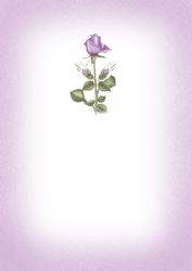 Lavendar Roses Insert for Cup173987_56