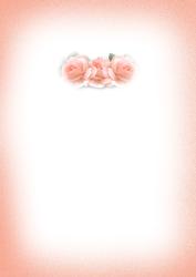 Peach Roses Insert for Cup177425_56