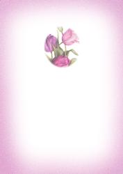 Pretty Tulips Insert for Cup173988_56