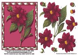 Peony Card Front