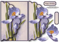 Vintage Iris Envelope Card with Decoupage