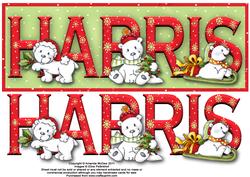 Polar Bear Friends Harris Large Dl Name Card