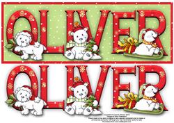 Polar Bears Oliver Large Dl Name Card