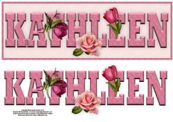 Rosebuds Kathleen Large Dl Name Card