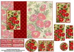 Pretty Poppy Foldback