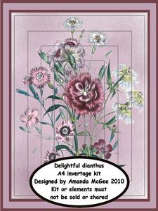 Delightful Dianthus A4 Invertage Kit