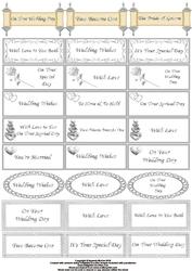 Wedding Captions in Silver