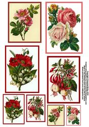 Pretty Pink and Red Floral Toppers