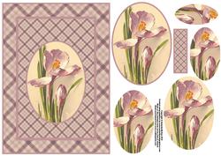 Pretty Iris and Plaid Card Front and Pyramid