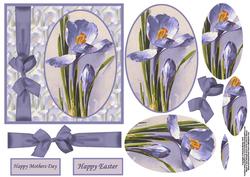 Blue Iris Card Front and Pyramid