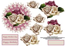 Roses on Lace Step by Step