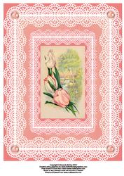 Tulips and Scene with Lace A4 Card Front