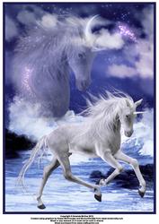 Galloping Through the Waves A4 Card Front