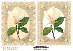 Magnolias and Lace Card Front and Decoupage - Sheet 1 of 2