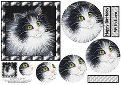 Sammy the Cat Card Front and Pyramid