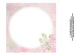 Daisy Daisy 8x8 Insert