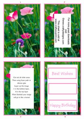 Stunning Pink Floral Tunnel Sheet