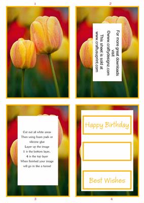 Stunning Tulips Floral Tunnel Sheet