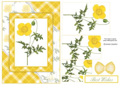 Beautiful Floral Torn Edge Effect Card Front