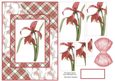 Beautiful Floral Torn Edge Effect Card Front