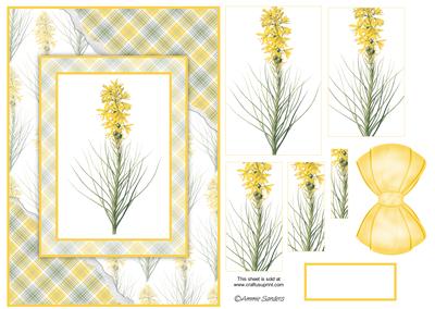 Beautiful Floral Torn Edge Effect Card Front