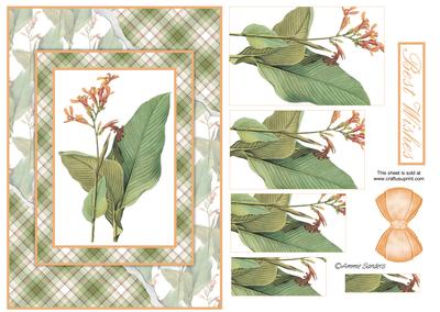 Beautiful Floral Torn Edge Effect Card Front