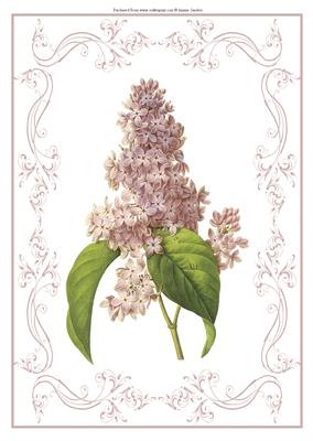 Beautiful Delicate Floral A4 Topper/card