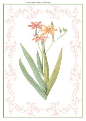 Beautiful Delicate Floral A4 Topper/card