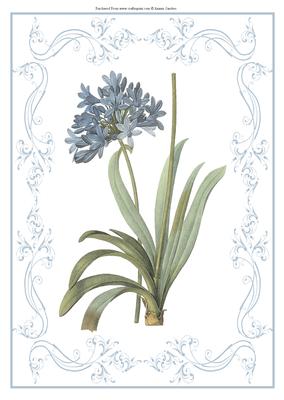Beautiful Delicate Floral A4 Topper/card